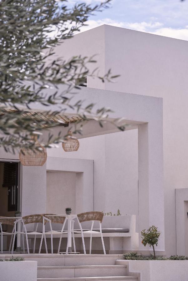 Hotel Isida Andros à Áyios Pétros Extérieur photo